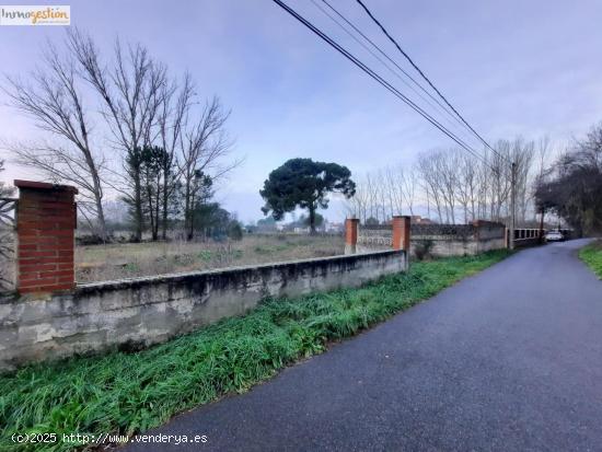 SE VENDE TERRENO RUSTICO EN TUDELA DE DUERO - VALLADOLID