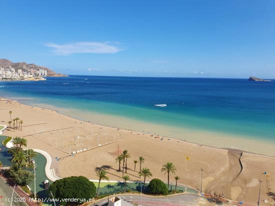  Gran piso de 2 dorm. en primera línea de Playa de Poniente - www.inmobiliarialesdunes.com - ALICANT 