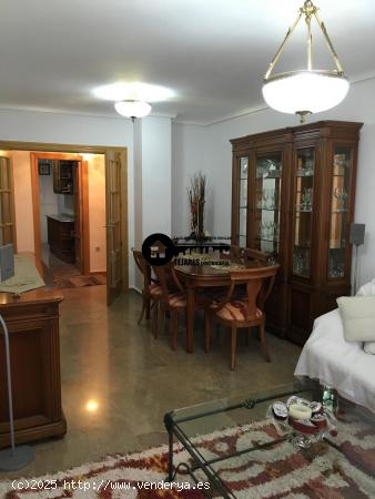  INMOBILIARIA TEJARES ALQUILA PISO ZONA PARQUE SUR - ALBACETE 