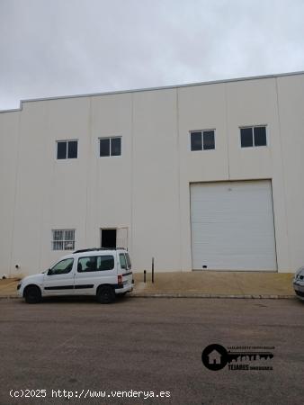 INMOBILIARIA TEJARES VENDE NAVE INDUSTRIAL EN LOS MOLINOS, CHINCHILLA DE MONTE-ARAGÓN - ALBACETE