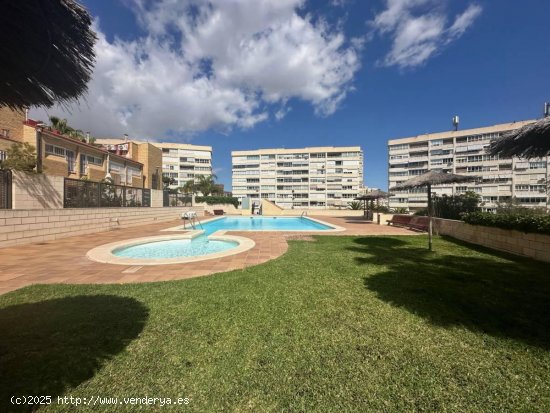  Casa en venta en Alicante (Alicante) 