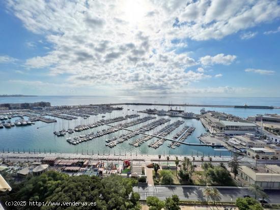  Vivienda en 1ª línea, con vistas panorámicas al mar y al horizonte de Alicante. - ALICANTE 