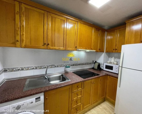 Apartamento en alquiler en Torrevieja (Alicante)