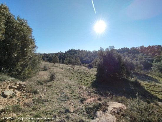  Finca en venta en La Fresneda (Teruel) 