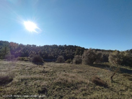 Finca en venta en La Fresneda (Teruel)