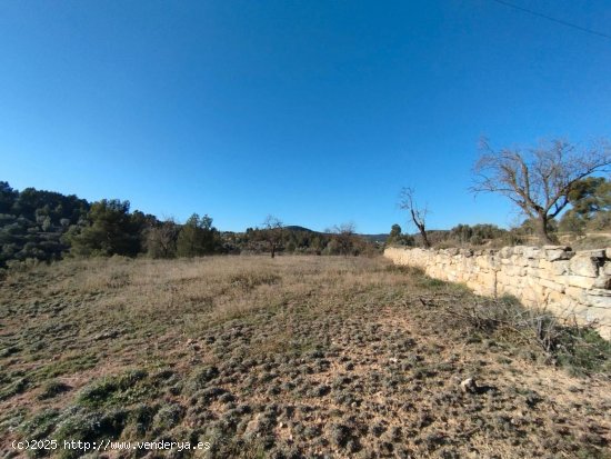 Finca en venta en La Fresneda (Teruel)