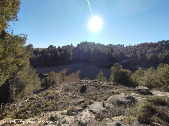 Finca en venta en La Fresneda (Teruel)