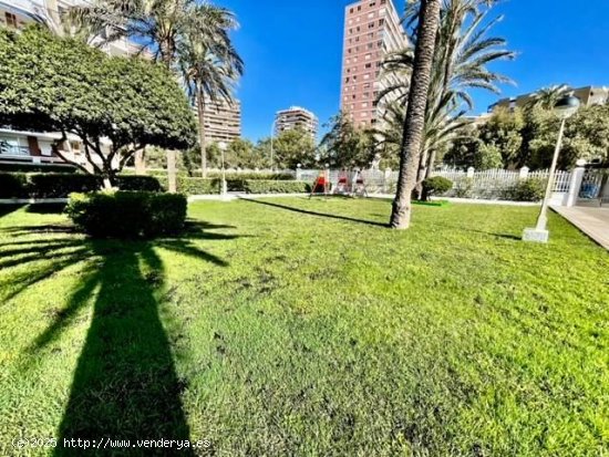 Apartamento en venta en Alicante (Alicante)