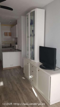 Estudio en alquiler en Benalmádena (Málaga)