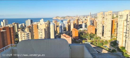  Maravilloso apartamento en Benidorm - ALICANTE 