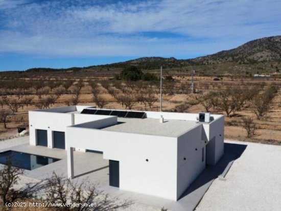 Villa en venta en Pinoso (Alicante)