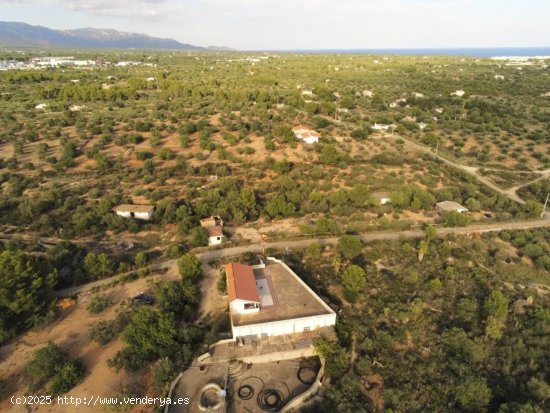  Finca en venta en L Ametlla de Mar (Tarragona) 