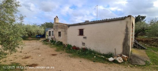  Finca en venta en El Perelló (Tarragona) 