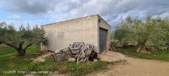 Finca en venta en El Perelló (Tarragona)