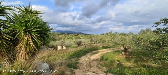 Finca en venta en El Perelló (Tarragona)