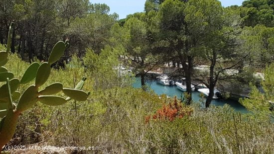 Parcela en venta en L Ametlla de Mar (Tarragona)