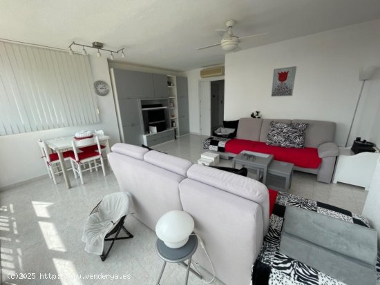 Apartamento en venta en Benidorm (Alicante)