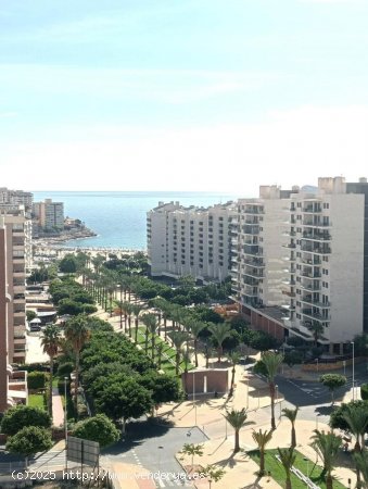  Apartamento en venta en Villajoyosa (Alicante) 