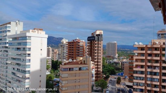 Apartamento en venta en Benidorm (Alicante)