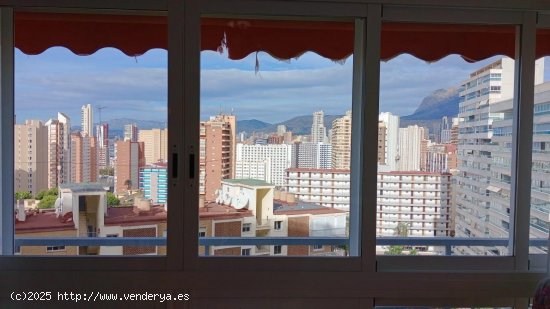 Apartamento en venta en Benidorm (Alicante)