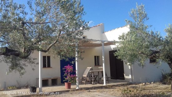  Finca en venta en Tortosa (Tarragona) 