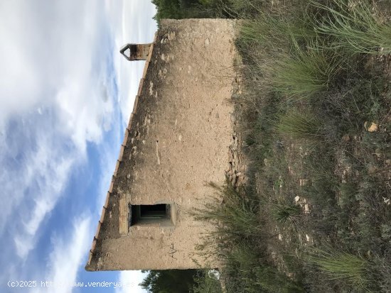  Finca en venta en El Perelló (Tarragona) 