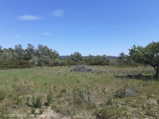  Finca en venta en El Perelló (Tarragona) 