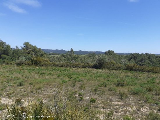 Finca en venta en El Perelló (Tarragona)