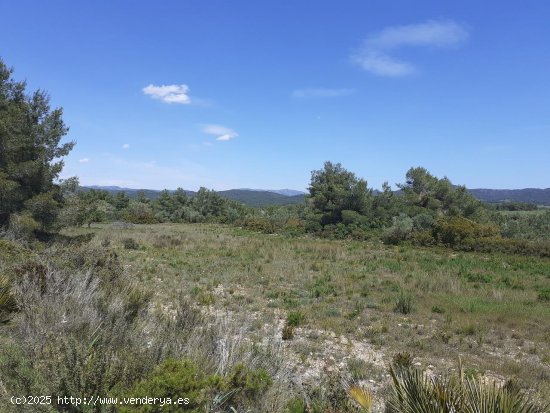 Finca en venta en El Perelló (Tarragona)