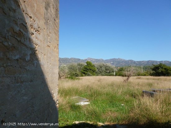 Finca en venta en Xerta (Tarragona)