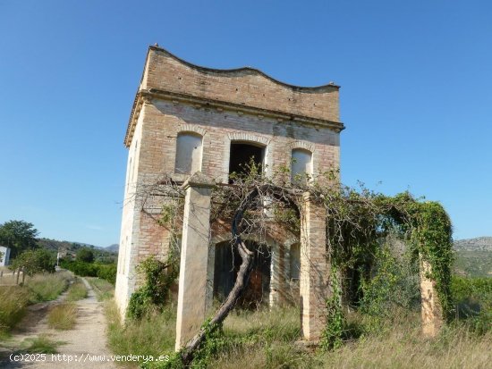 Finca en venta en Xerta (Tarragona)