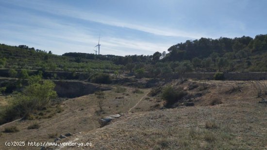 Finca en venta en Vilalba dels Arcs (Tarragona)