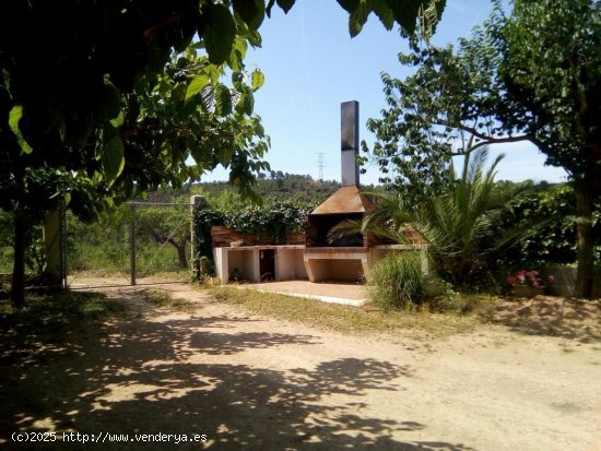 Finca en venta en Tivissa (Tarragona)