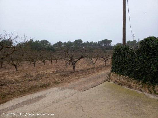 Finca en venta en Móra d Ebre (Tarragona)