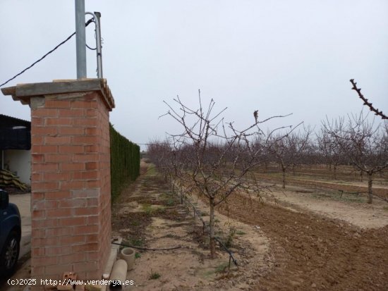 Finca en venta en Móra d Ebre (Tarragona)