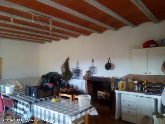 Finca en venta en Tivissa (Tarragona)