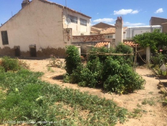  Finca en venta en Zarra (Valencia) 