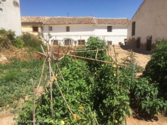 Finca en venta en Zarra (Valencia)