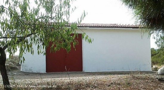 Finca en venta en Zarra (Valencia)