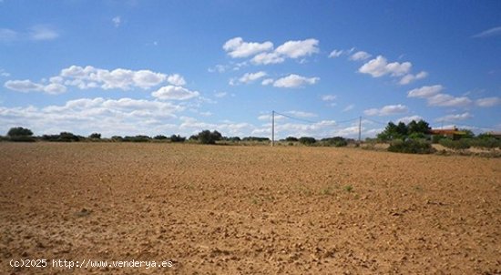 Parcela en venta en Almansa (Albacete)