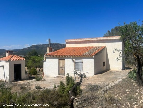  Finca en venta en Zarra (Valencia) 