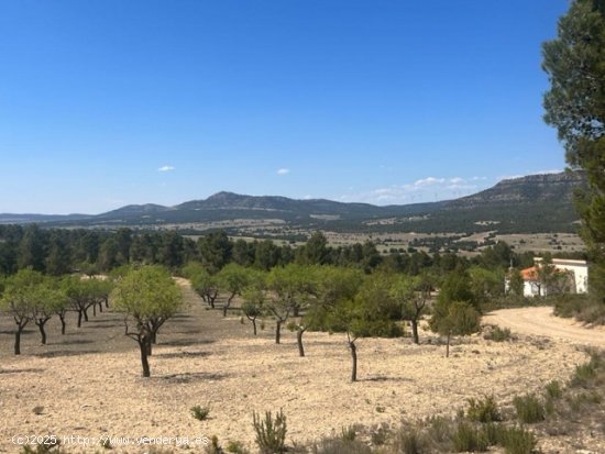 Finca en venta en Zarra (Valencia)