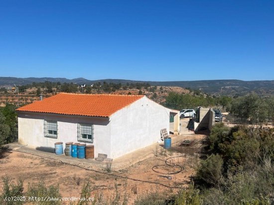  Finca en venta en Ayora (Valencia) 