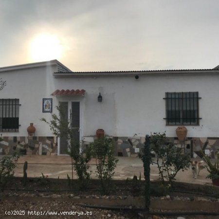  Villa en venta en Tortosa (Tarragona) 