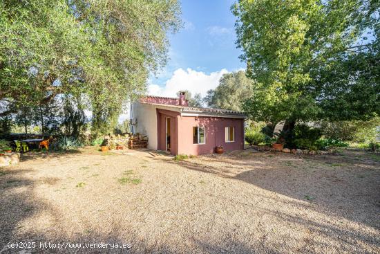  FINCA RUSTICA EN SENCELLES CON VIVIENDA DE DOS HABITACIONES - BALEARES 