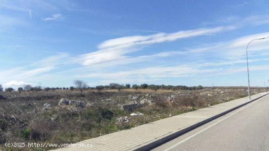 Terreno en Seseña - TOLEDO