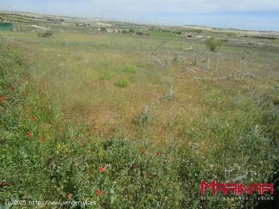 Parcela en Seseña - TOLEDO