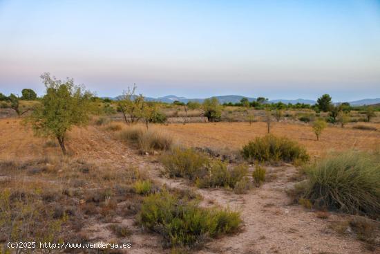 Terreno no urbano en venta - MURCIA