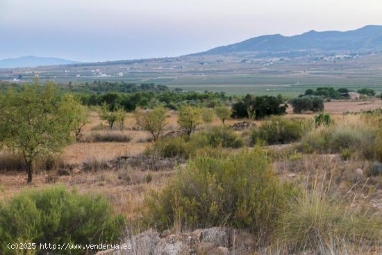 Terreno no urbano en venta - MURCIA