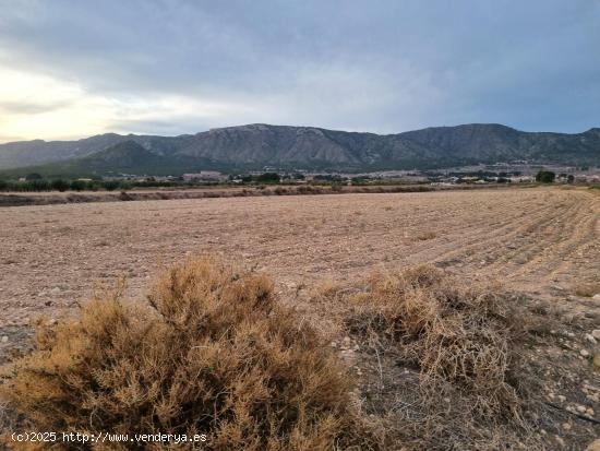 SE VENDEN PARCELAS PARA CONSTRUIR EN SALINAS (ALICANTE) SPAIN - ALICANTE